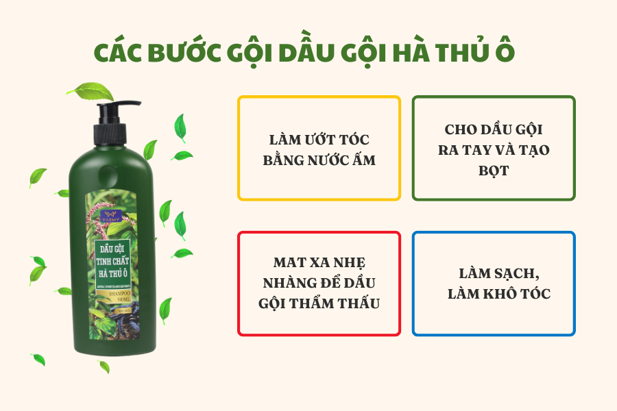 Hướng dẫn sử dụng